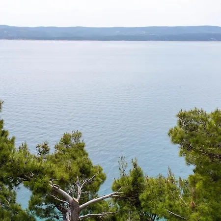 Silvana Marusici (Split-Dalmatia)