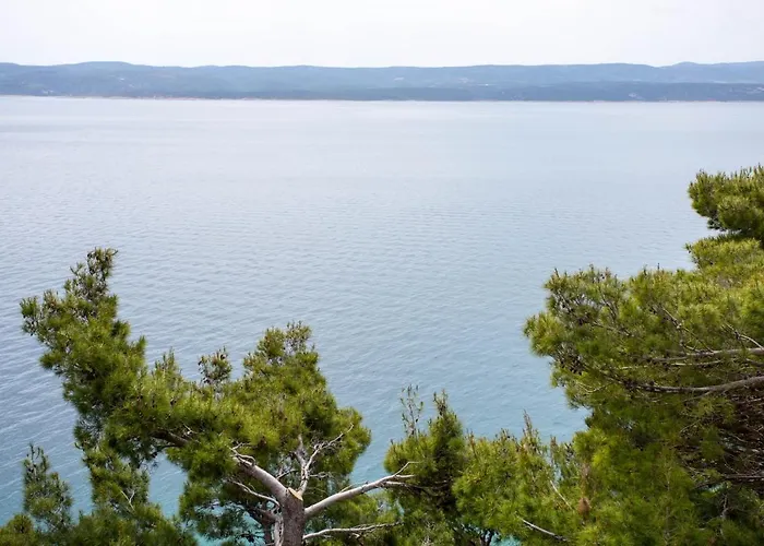 Silvana Marusici (Split-Dalmatia)